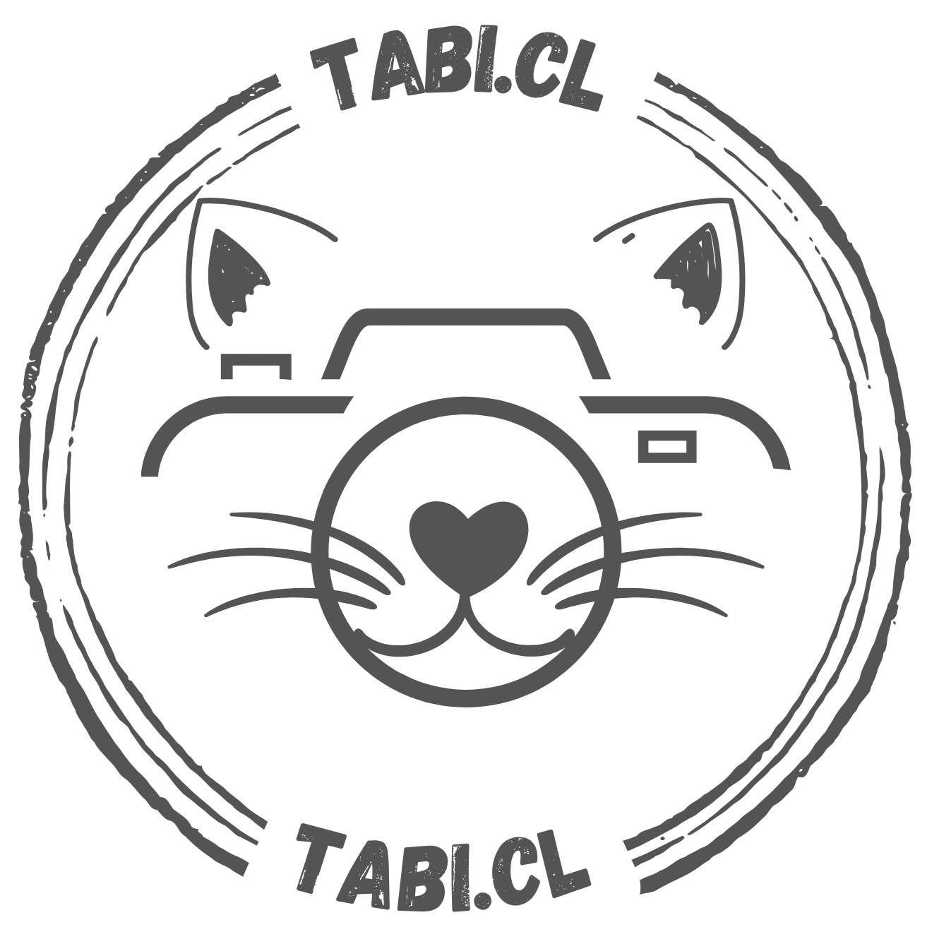 tabicl
